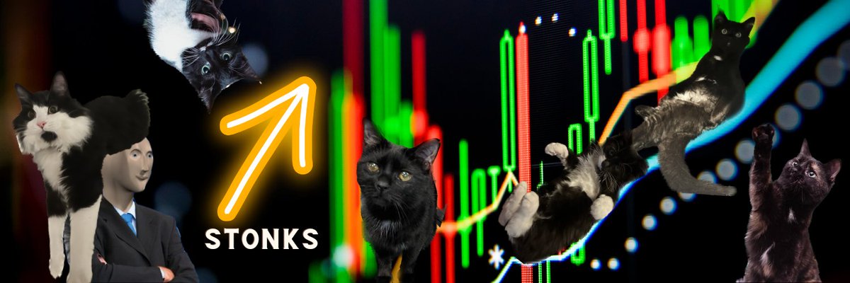 🚀🐱 Just updated our Twitter banner, and we're going #ToTheMoon with these STONKS alongside our feline friends! 🌕 Let's make 2023 a year of growth, innovation, and success, for both humans and cats! 📈💰 #StonksOnlyGoUp #InvestingTogether #CatsOfTwitter #NewBanner