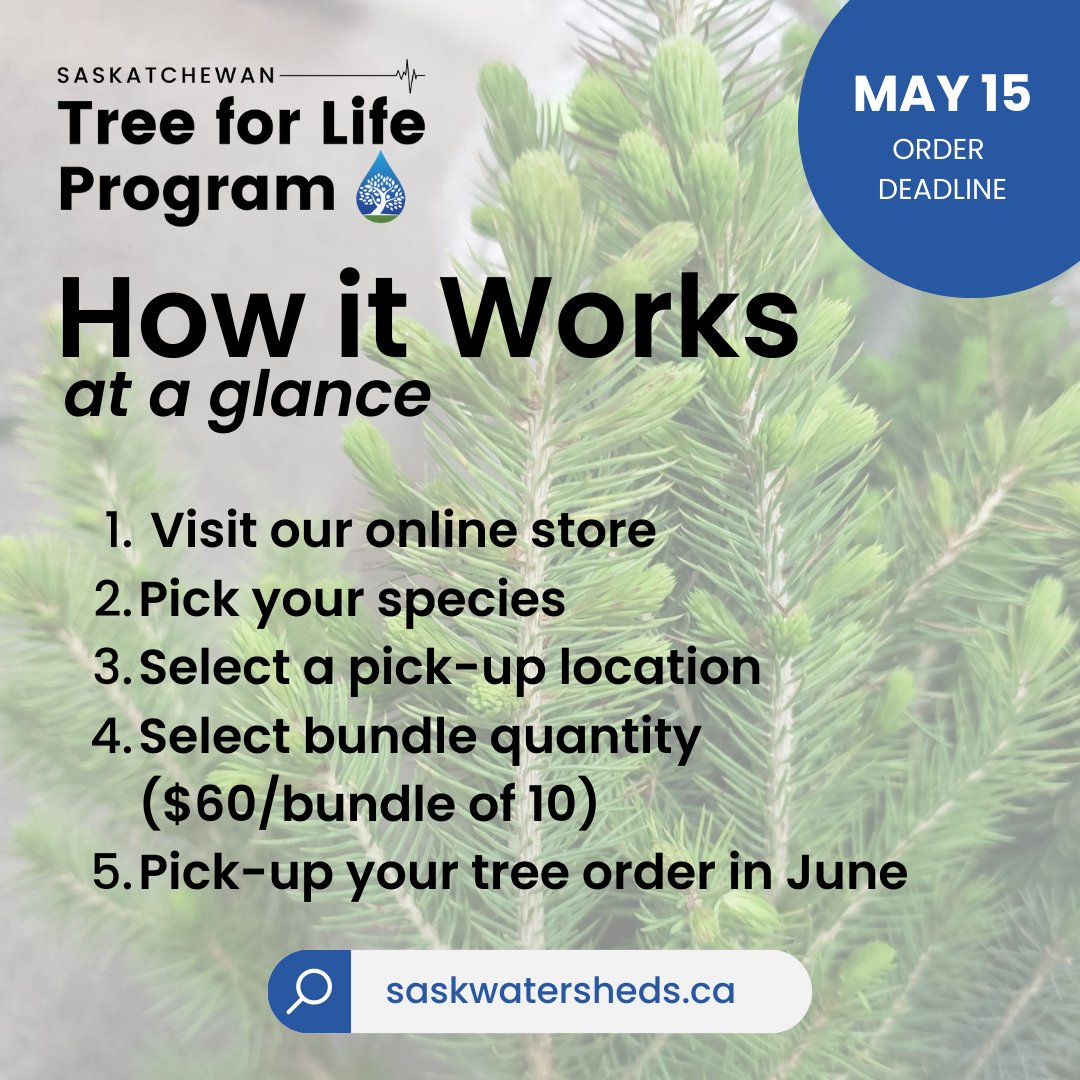 sk_program's tweet image. Check out the species available through the #SkTreeForLife Program by visiting …katchewan-tree-for-life.myshopify.com
Thank you for supporting healthy watersheds!

#SkTreeforLife #SaskWatersheds #SwiftCurrent #MooseJawSk #YXE #Regina #Yorkton #Assiniboia #NorthBattleford #Melfort #Redvers