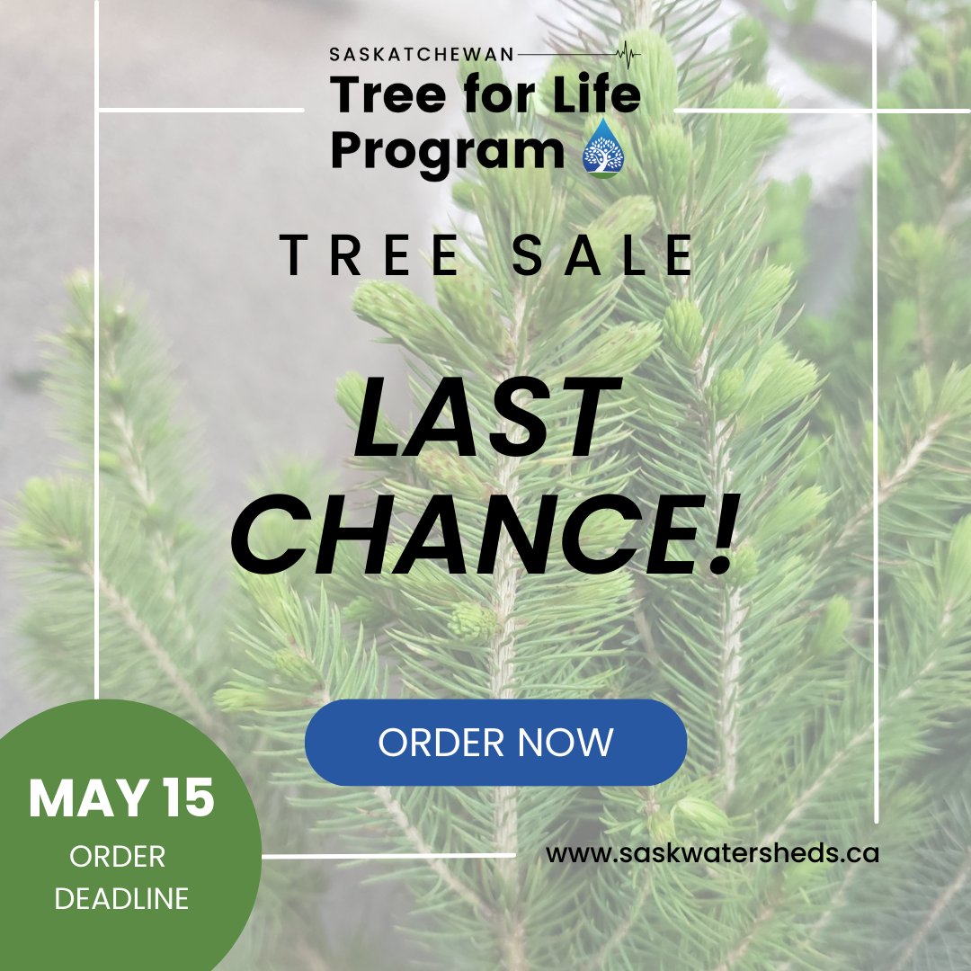 sk_program's tweet image. Time is running out! The last day to order your trees is Monday, May 15.
Shop the available trees at …katchewan-tree-for-life.myshopify.com
Thank you for supporting healthy watersheds! 

#SkTreeforLife #SaskWatersheds