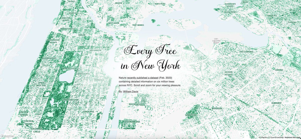 Every tree in NYC! 🌳 #builtwithmapbox willymaps.github.io/nyctrees/