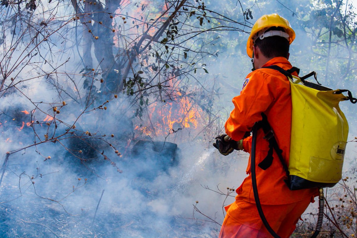 MasInfoSv's tweet photo. .@BomberosSV sofoca incendio en terreno con maleza seca. 
📍Cantón San José, caserío La Teneria, municipio de Chalatenango, sector tiangue. https://t.co/fAKN8cGxm2