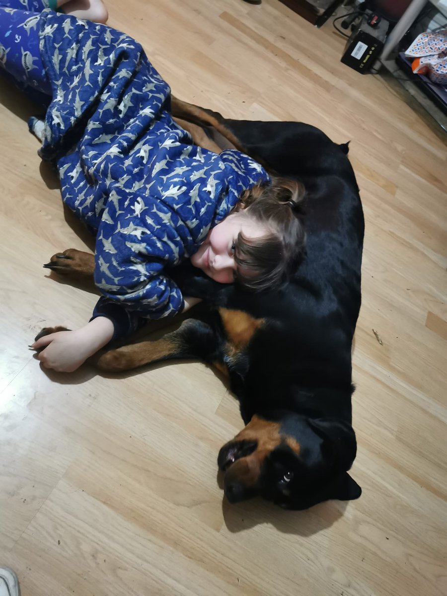 georgias_python's tweet image. #rottweiler loves her cuddles
#rotty