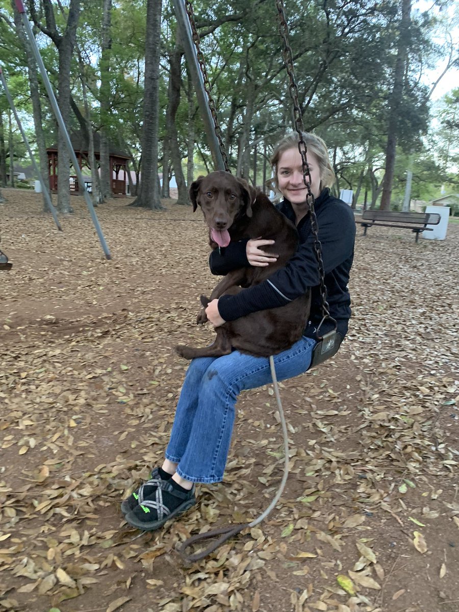 Coastal_Keith's tweet photo. Today we discovered my dog likes swings 🤷‍♂️ https://t.co/45es4RP6iy