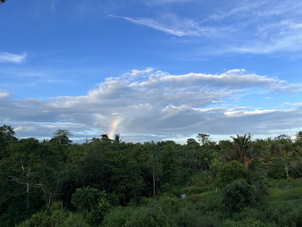 Goffin Lab Tanimbar tweet media