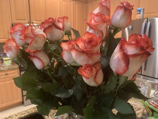zero_damns's tweet image. nails💅🏾 done✅ &amp;amp; was invited to lunch🍽️~ &amp;amp; got my flowers💐🌷because it&apos;s the 16th🗓️*it&apos;s a thing so #pettypoints for that😏*
😃AND also means my bday🎂🎁🎁🎁 is OFFICIALLY 2 months away🤗🥳🎉!!!
#pettyproblems🫦💅🏽 #thursdayvibes💫💃🏽🌴  
#taurus👑 #March2023🏖️ #goodvibes😘🎵🏝️