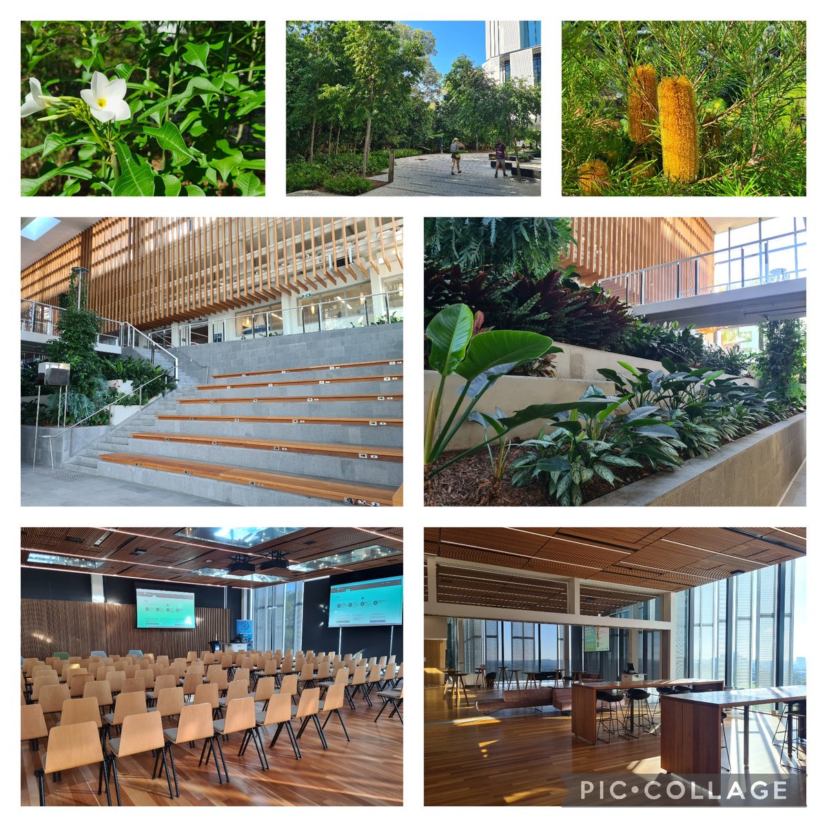 We are up in Brisbane checking out venues for #SUSE6. They look amazing; we're so looking forward to the Symposium. Only 73 days to go!!
More info here: urbanstreamecology.org/suse6.html