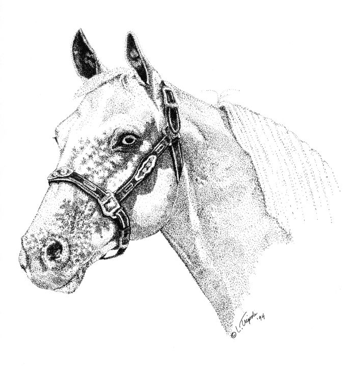 larrytripoli's tweet photo. Art of the Day: "Appaloosa". Buy at: https://t.co/KNSUy8Ls2m https://t.co/MKHtYkDadK