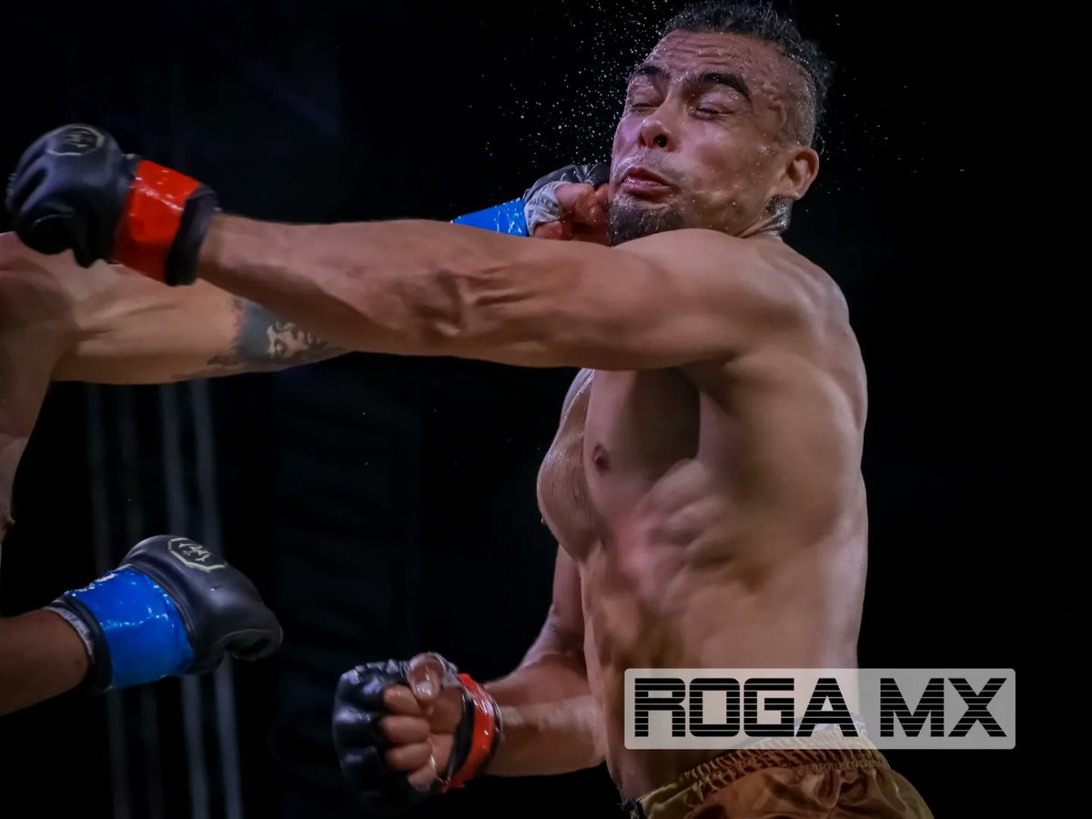 Alex Roga tweet media