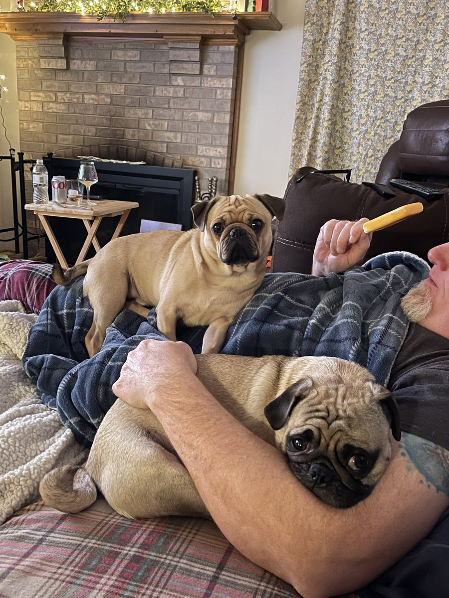 Only way to do #MarchMadness  #pugs #DogsofTwittter #puglife