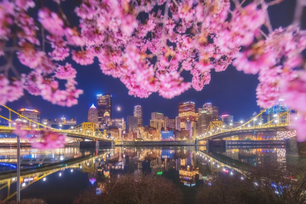 Another image from this morning in #Pittsburgh, and one that I'm really happy with. While holding my camera with one hand, I lit up the blossoms along the North Shore with a flashlight in my other, creating an almost 3D look as the branches frame the city and crescent moon.