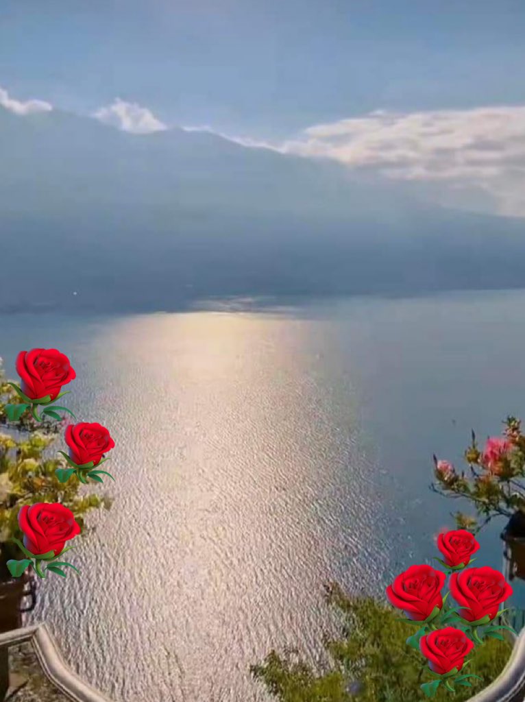 laddi_kaur's tweet image. Good morning.