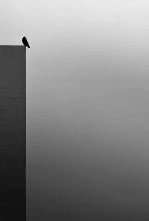 “La soledad es el lugar más seguro que conozco”.

- Edgar Allan Poe.