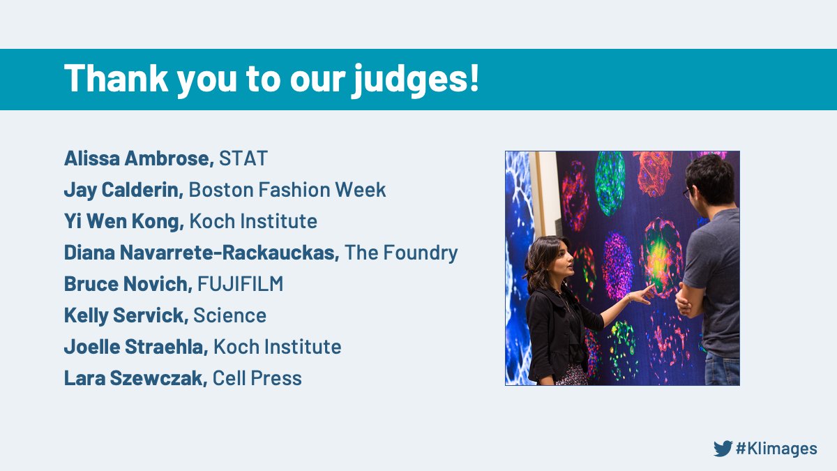 Koch Institute at MIT tweet media