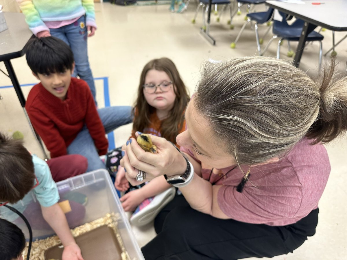 Mandy Holbrook tweet media