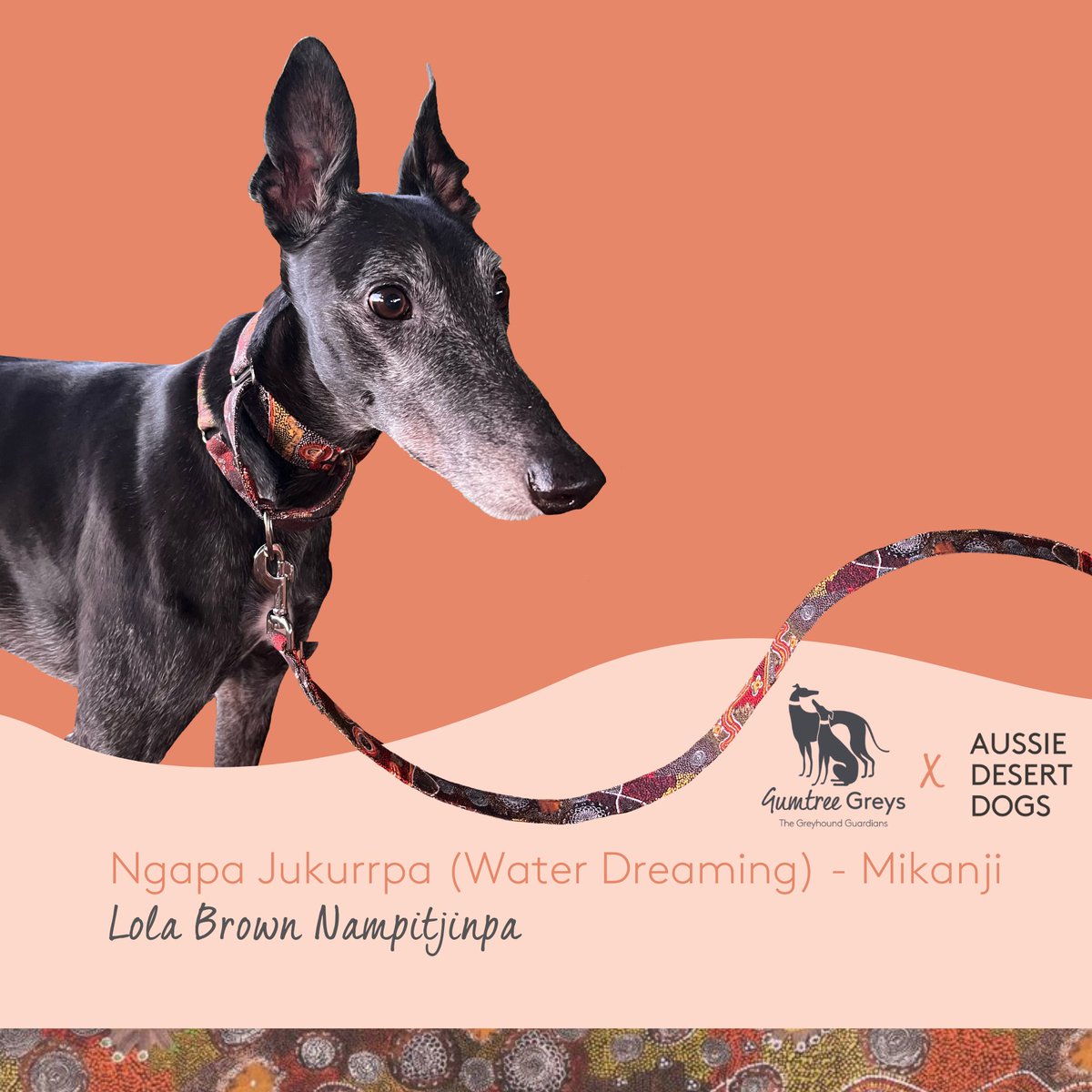 Gumtree Greys tweet media