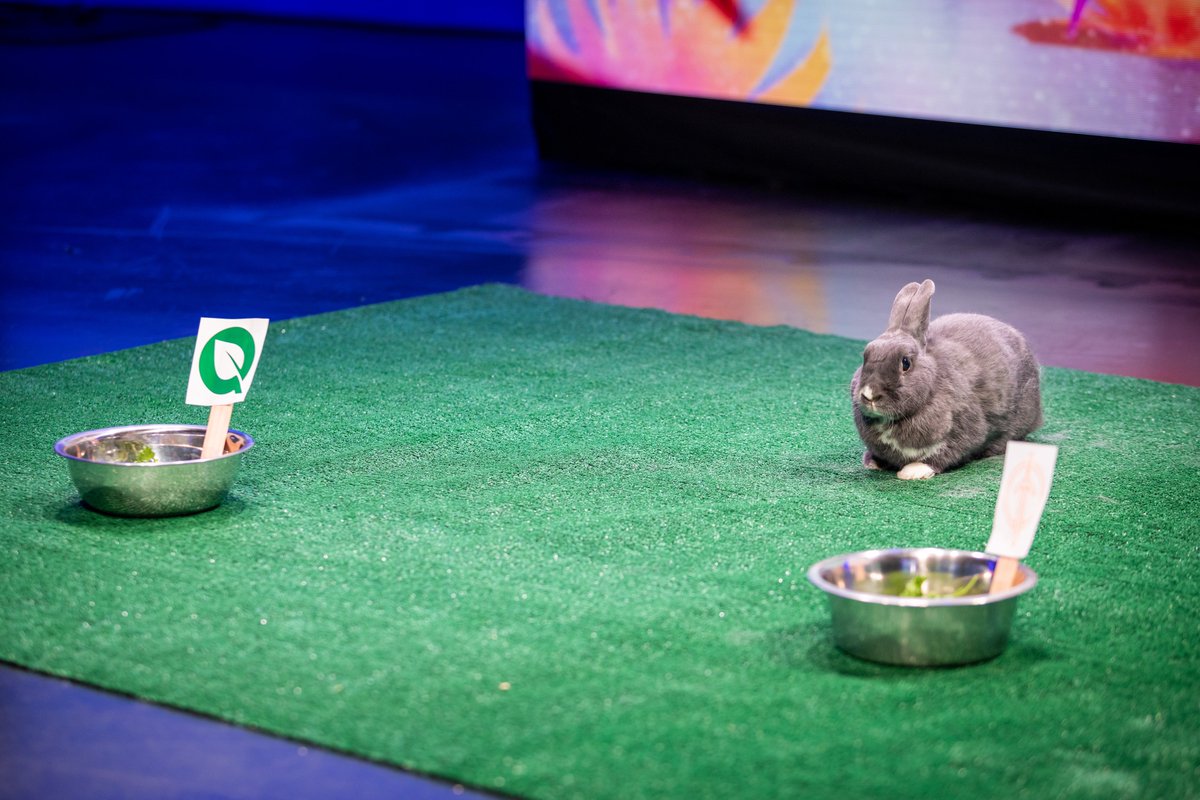 This bunny has now been wrong for three games in a row, and it picked <a href="/FlyQuest/">FlyQuest</a> in the last match of the day #LCS