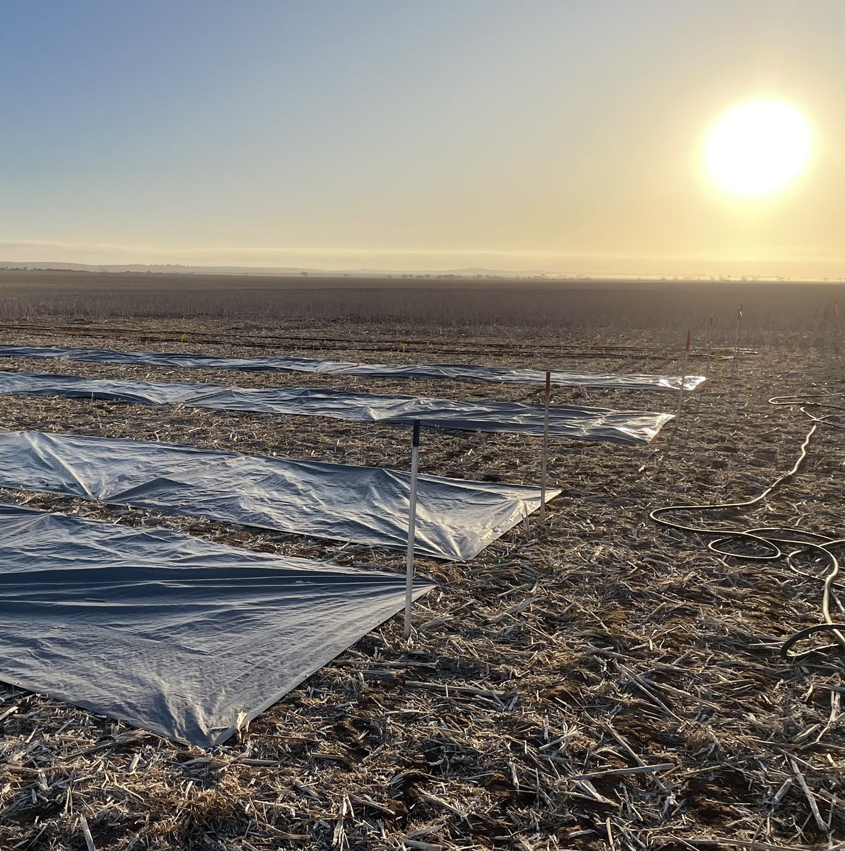 Andrew Ware tweet media