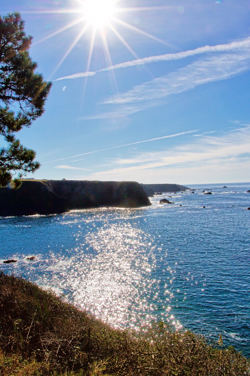 harmdhesiphoto's tweet photo. #Sunshine on the #Mendocino #Coast

#landscape #view #pacific #california #norcal #canon #dslr #snapseed #brightly #vsco #vscocam https://t.co/tPG19ksa7B