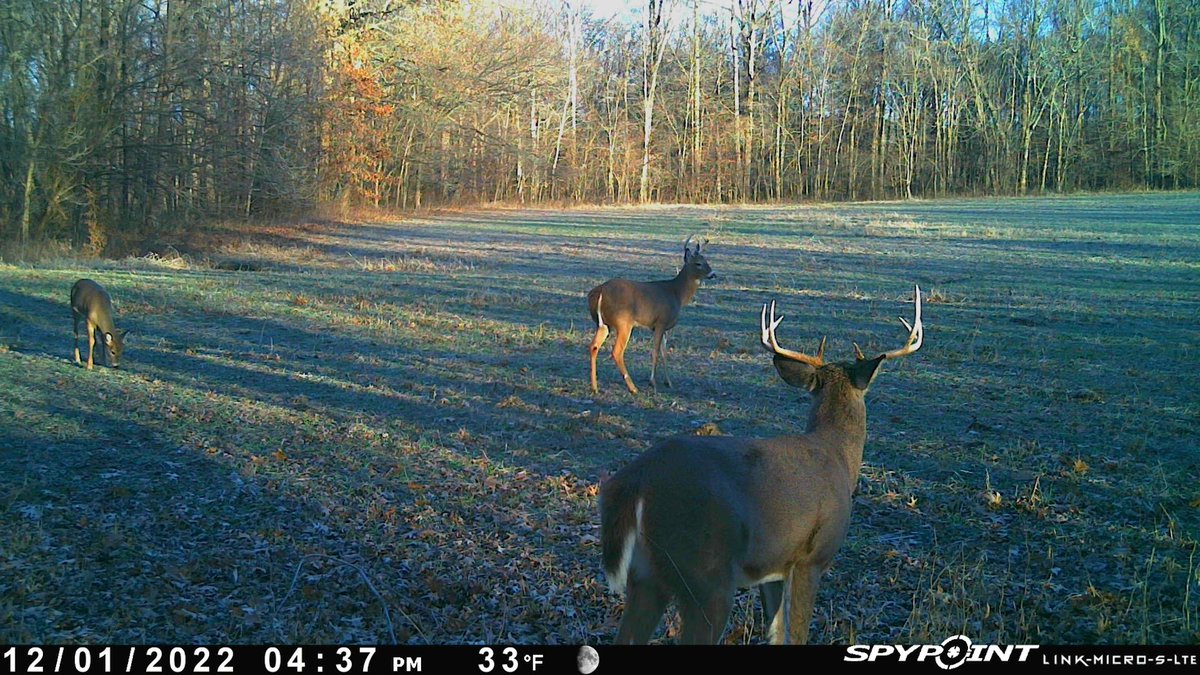 #throwbackthursday #spypoint #spypointtrailcameras #spypointcameras @spypointcamera #bigbucks #deerseason #gamecamera #whyIspypoint #teamspypoint