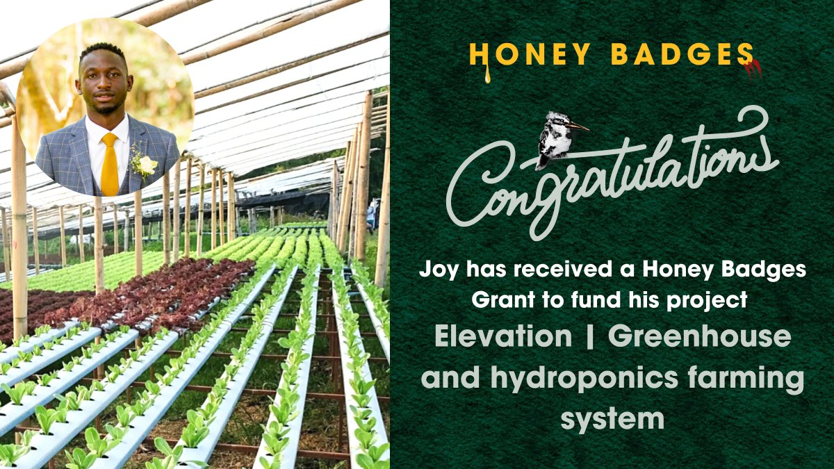 Honey Badges tweet media