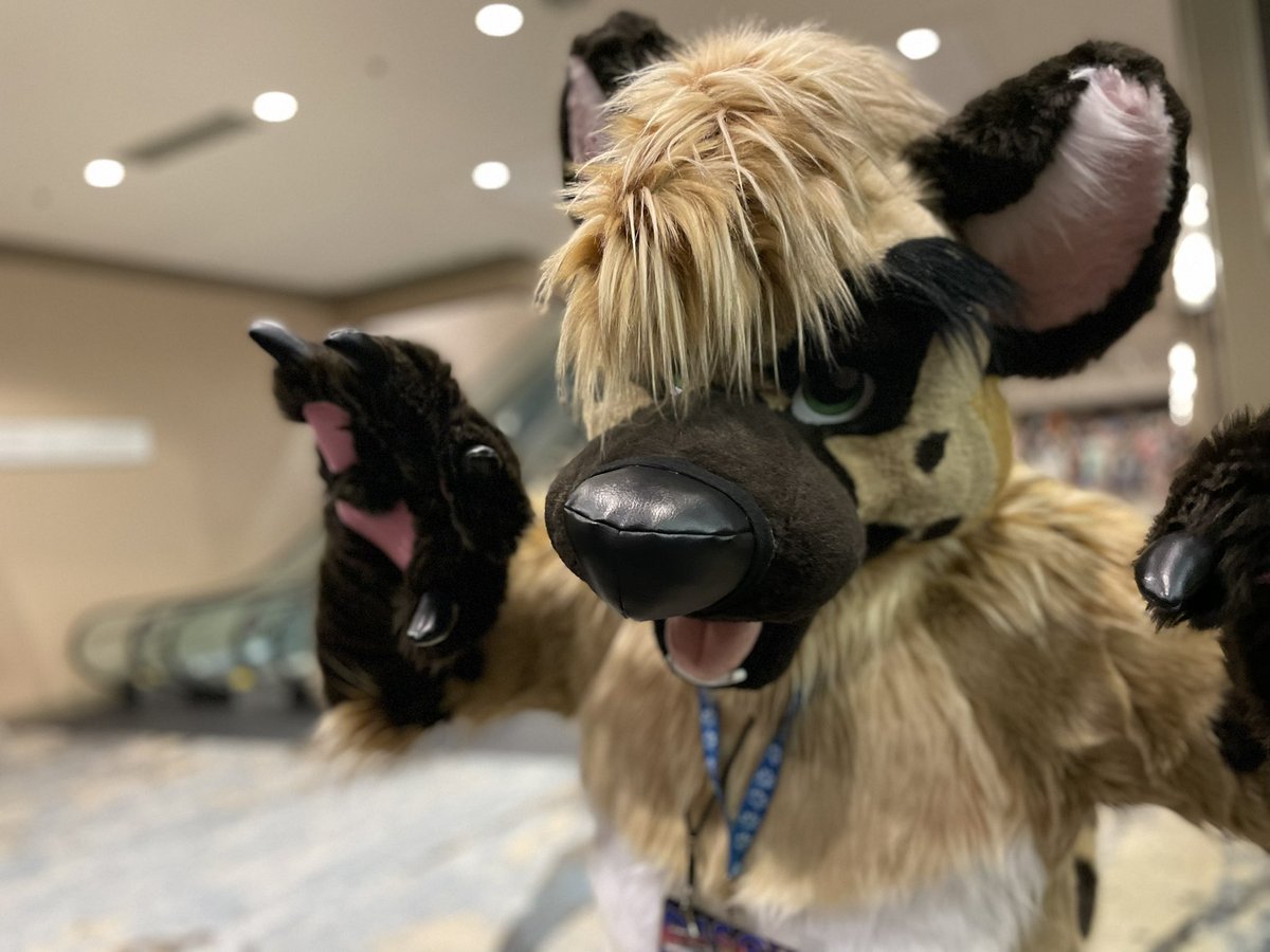 <a href="/The_Furox/">Furox The Dragon</a>  loved meeting you in line super funny and fun to be around!