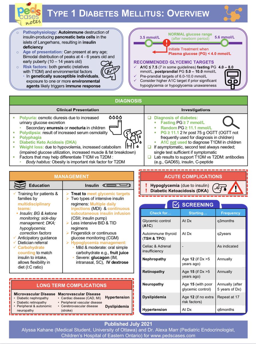 Type 1 diabetes mellitus overview <a href="/PedsCases/">PedsCases</a> #medtwitter