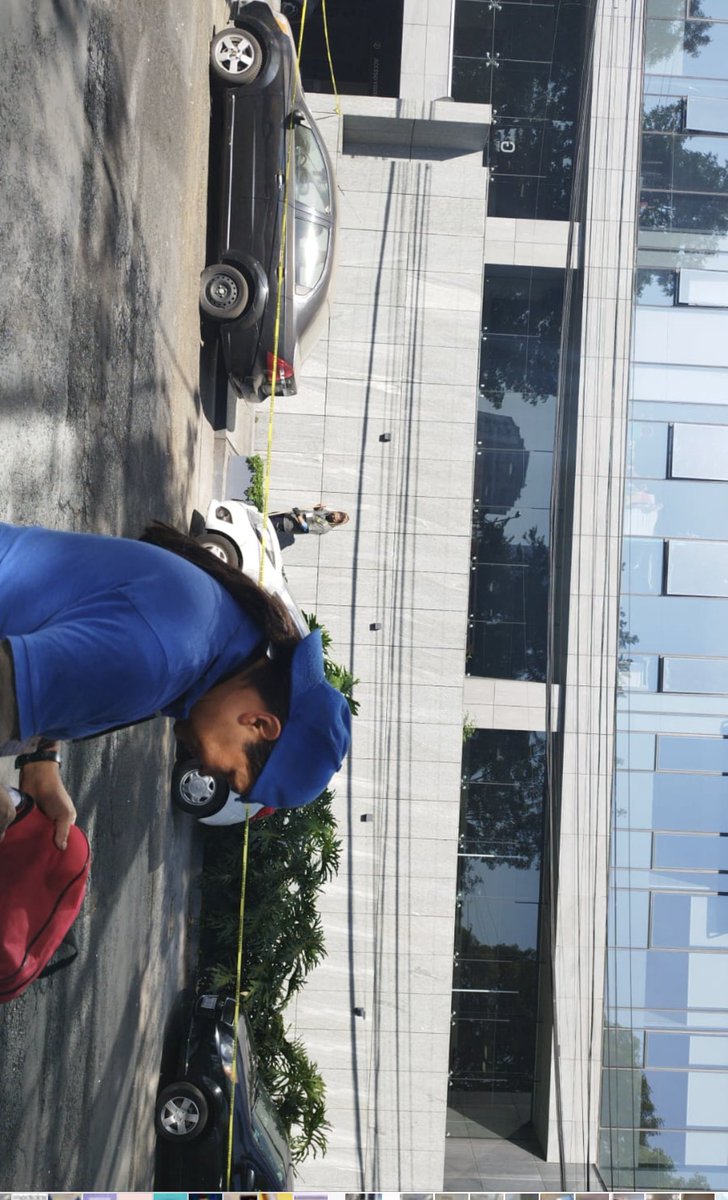 Eleonora RLL tweet media