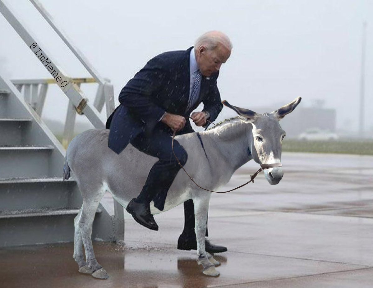 <a href="/bennyjohnson/">Benny Johnson</a>