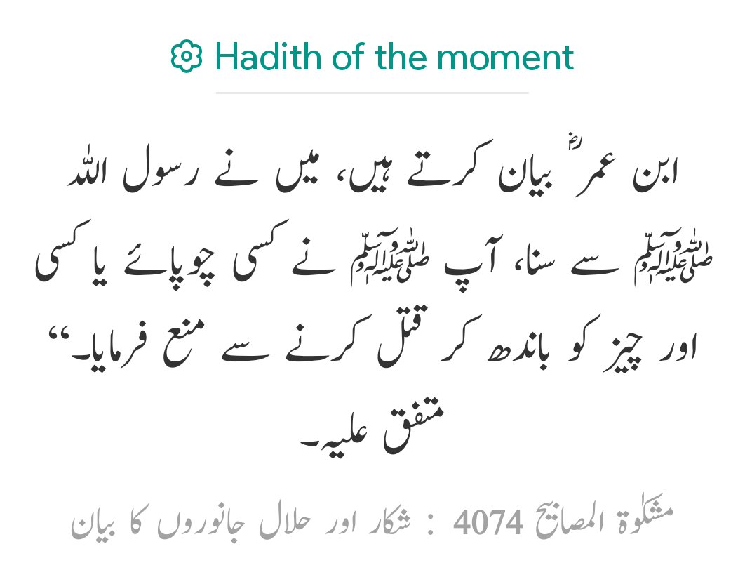 Assalam u Alaikum wr wb
Jumma Mubarak my friends