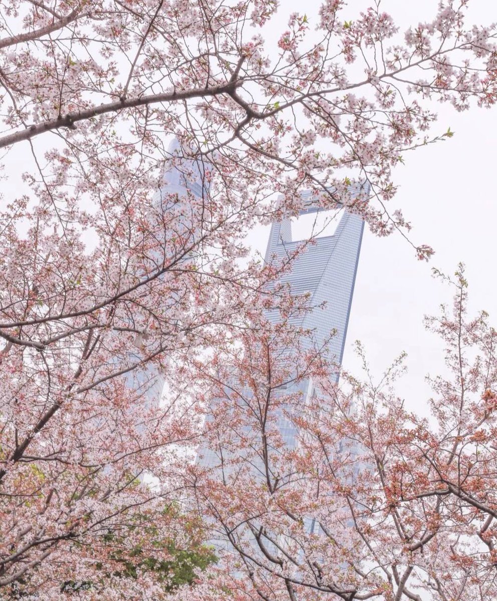 Emma15446027's tweet photo. Spring is in full bloom and it's that time of year again https://t.co/as7KbcnxC5