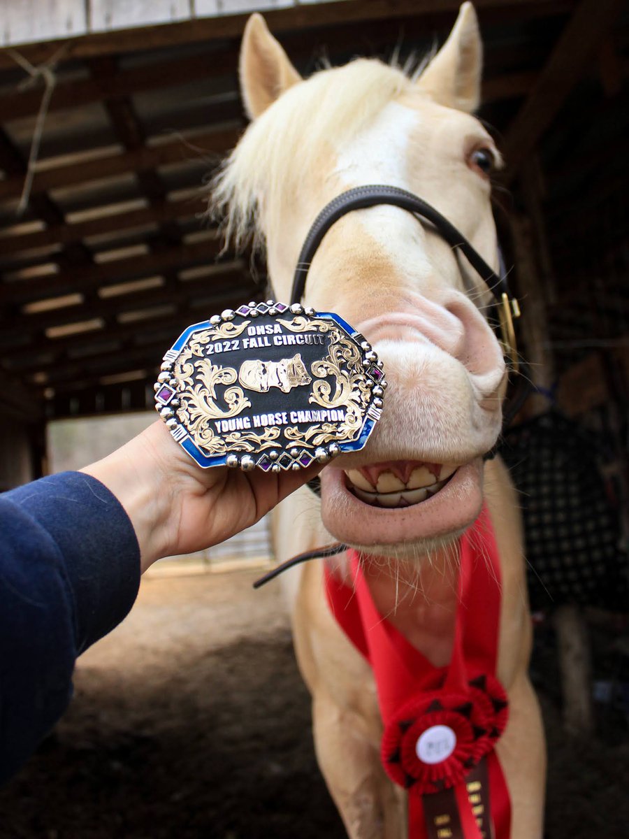 The_Wanderer73's tweet photo. When you win your 3rd buckle and you're proud of yourself: https://t.co/xn5Ukc8NZ0