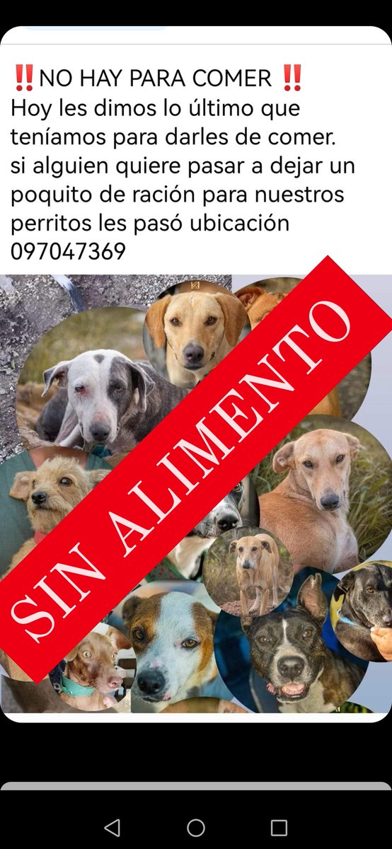 Refugio Costa Rescata en pando necesita alimento, tal vez alguna empresa puede ayudar