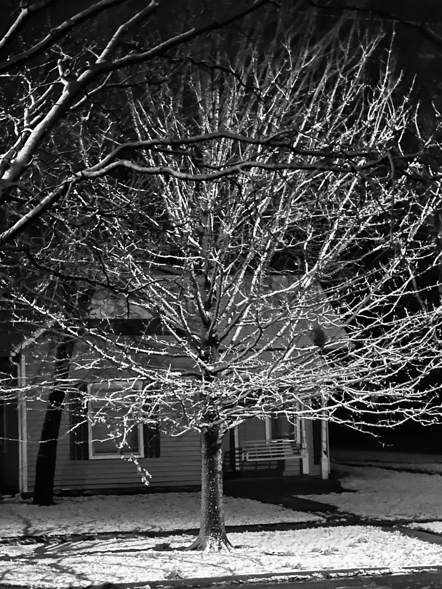 South Park Life tweet media