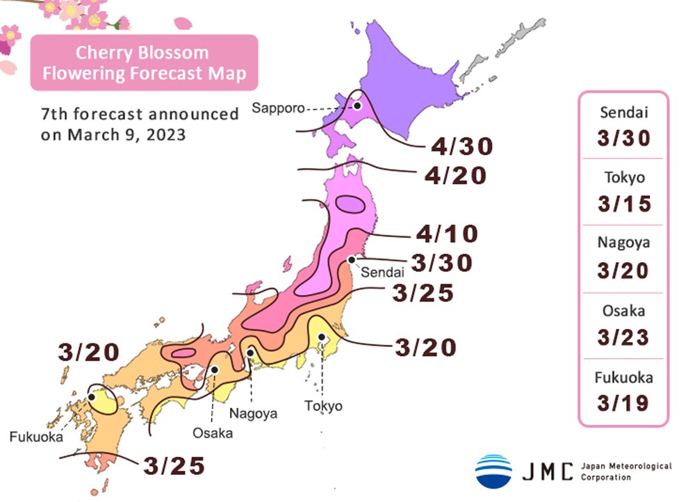 JapanTravelAdv's tweet photo. The cherry blossoms have already opened in Tokyo! Check out our Cherry Blossom Forecast for the latest updates https://t.co/5OOFJciHo3 #Japan https://t.co/3nWTOEls1g