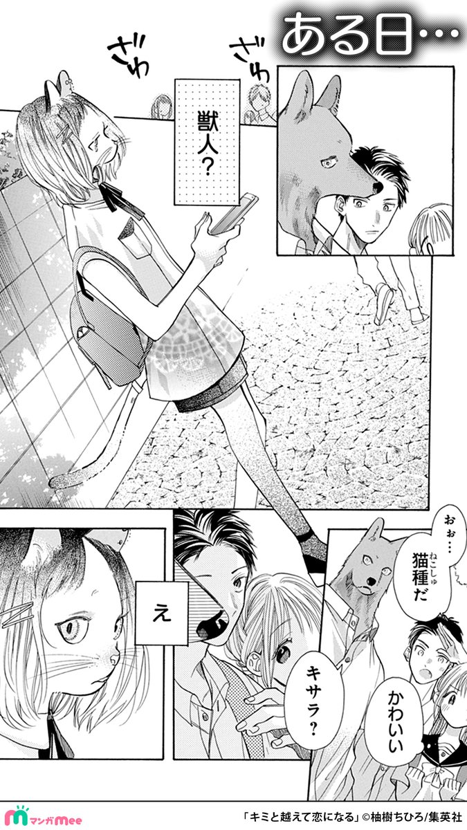 マンガMeeおすすめ漫画紹介【公式】 tweet media