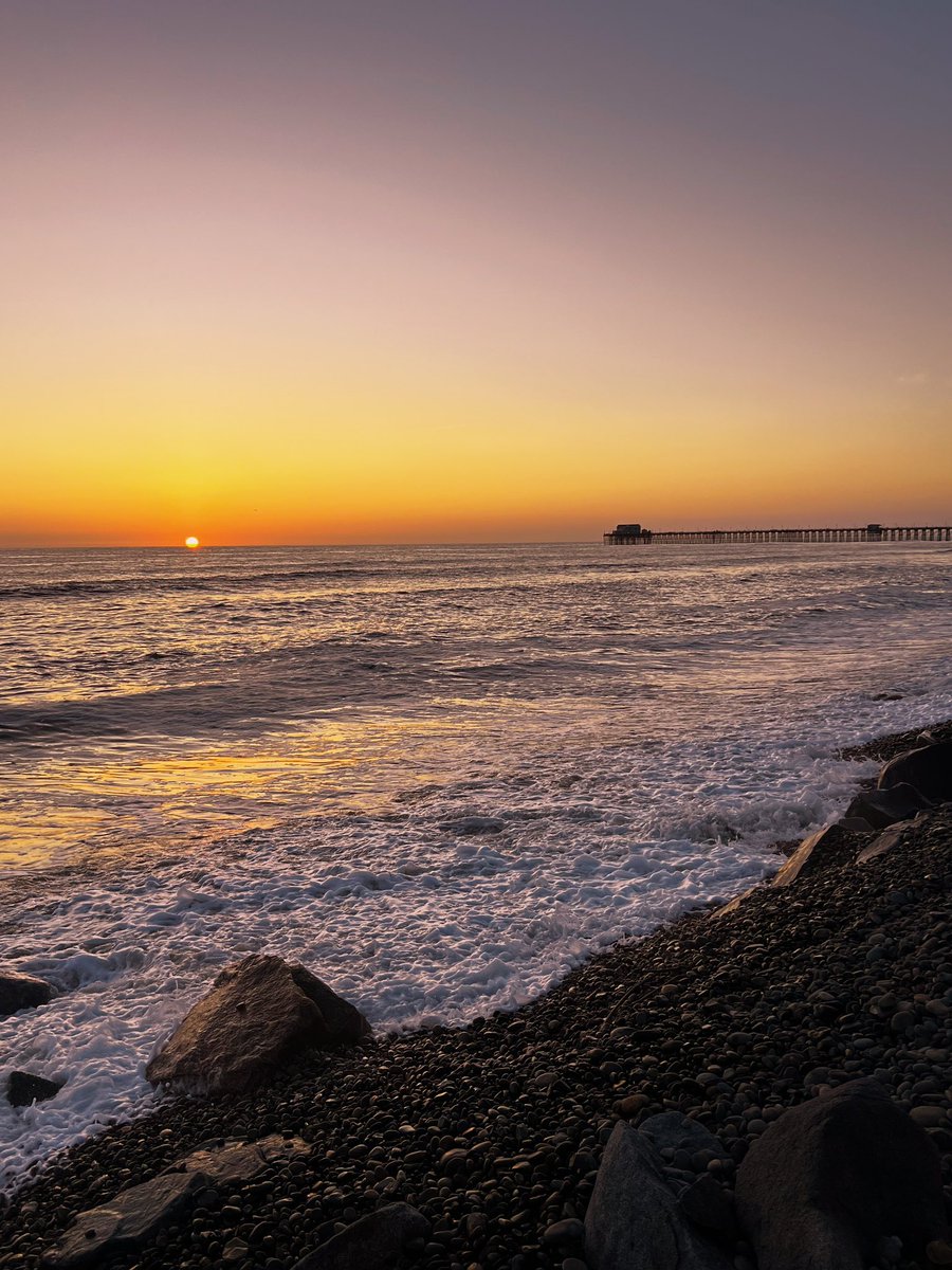 Lauren Rissman tweet media