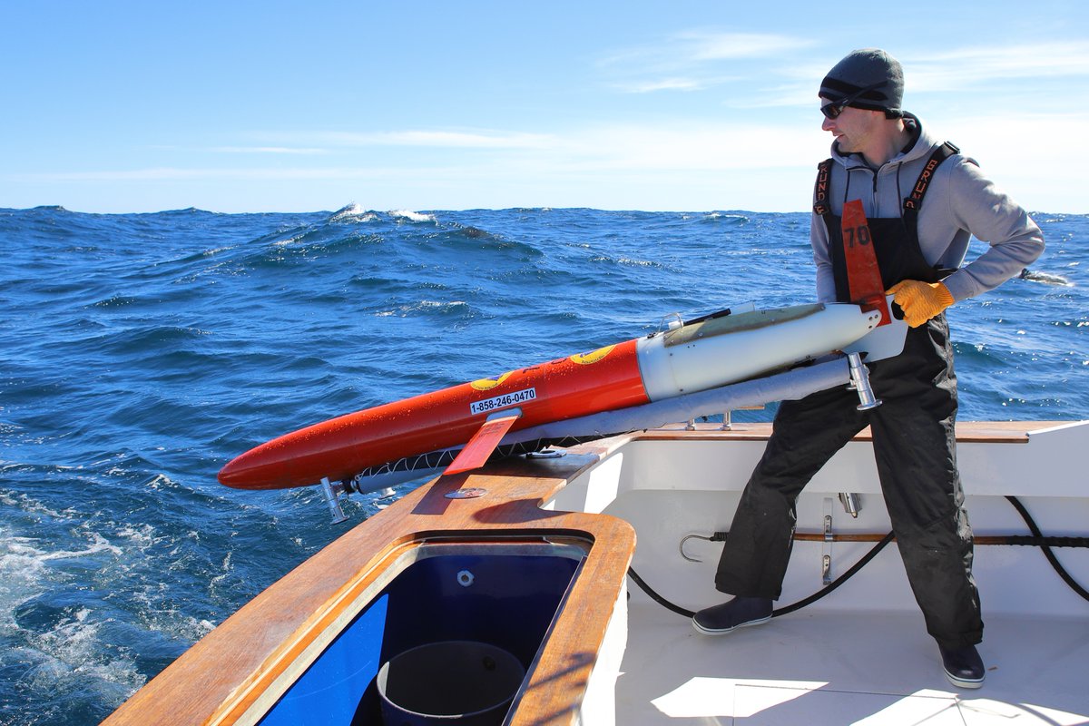 RTodd_Ocean's tweet photo. Conditions 70-90 km offshore were definitely 'sporty', but we got the gliders in and out. We even (accidentally) caught some charismatic megafauna on camera. See if you can spot them.

These gliders will measure in and near the Gulf Stream for the next few months. @WHOI https://t.co/Pf3qTW0Cd5