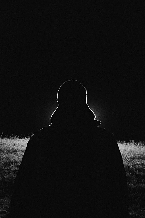 Joseph Greenwood tweet media