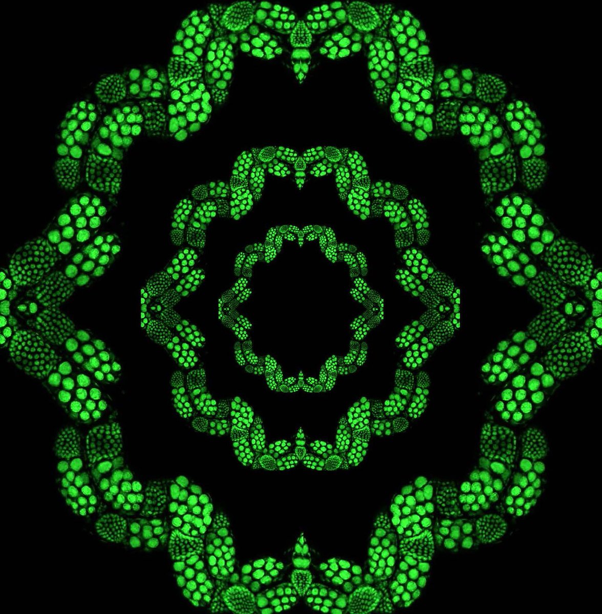 ZEISS Group tweet media