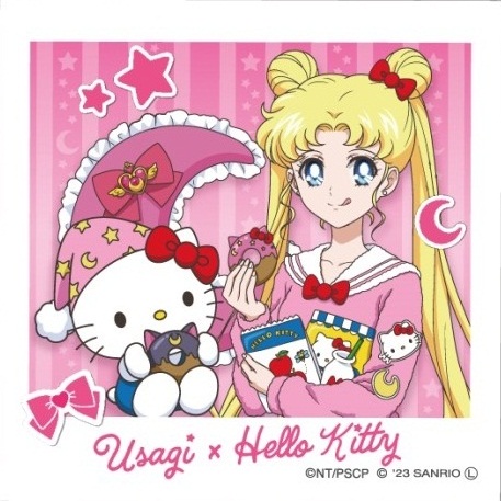 sailormoonvn's tweet photo. Pretty Guardian Sailor Moon × Sanrio Characters Pajama Party Collaboration

Usagi &amp; ChibiUsa https://t.co/CSHx8KtY60