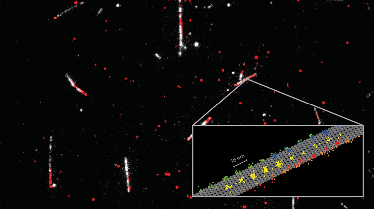 Lebensmittel&Biotechnologie tweet media