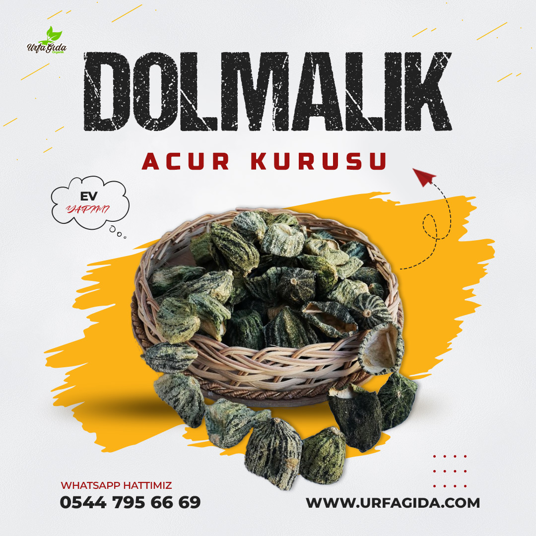 UrfaGda1's tweet photo. Dolma sevenler için kuru dolmalıklarımız...

https://t.co/ZB6bAr7Ypu

#dolma #kurubiberdolması #kurubiber #dolmatarifleri #kurupatlıcandoması #patlıcanyemekleri #kabakdolması #urfagida #yemektarifleriaşkı https://t.co/UUXNd0G2EH