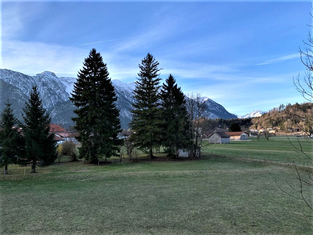Greenisamissio1's tweet photo. Spring is in the air, birds are chirping and just before the weekend. In this spirit, I wish my beloved and much appreciated fellow inhabitants of planet Earth a wonderful good morning and a blessed day, accompanied by wonderful encounters and events. May God bless you.❤️💙💚🌳🍀 https://t.co/lUKgtr7roO