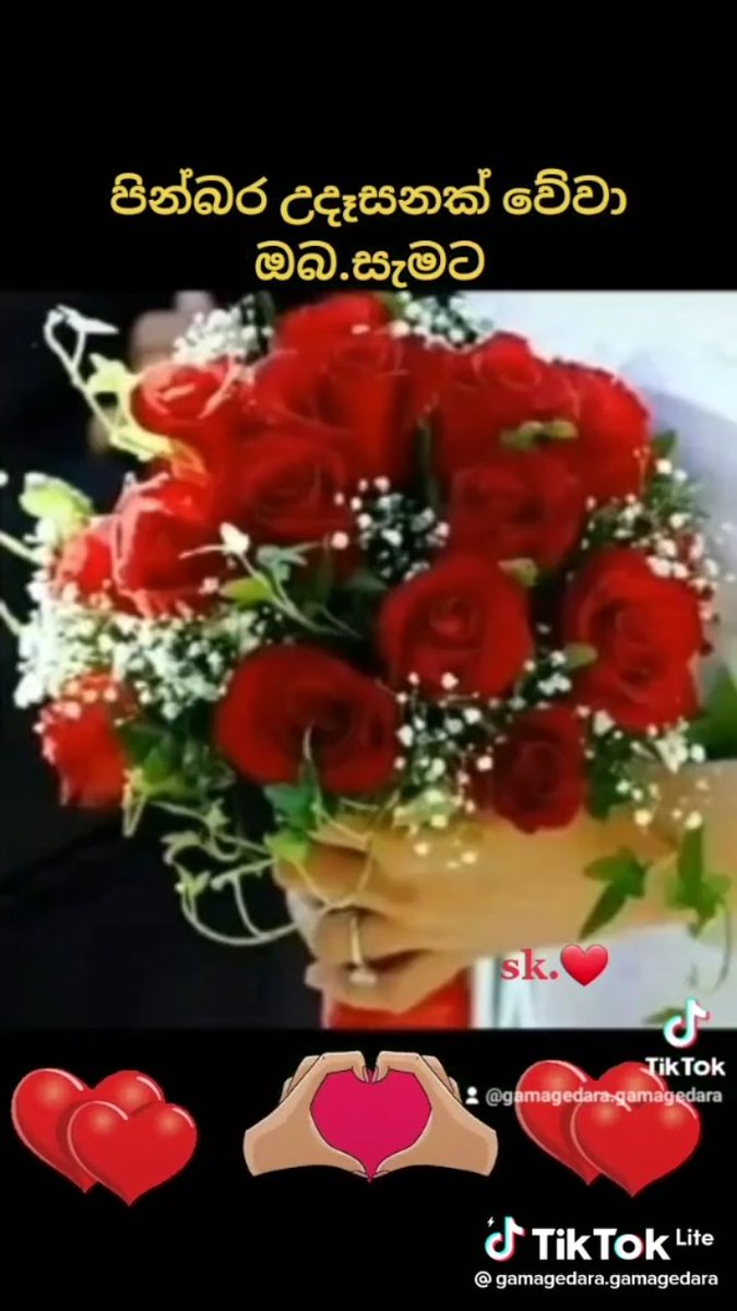 amila (@amila4266696539) on Twitter photo 