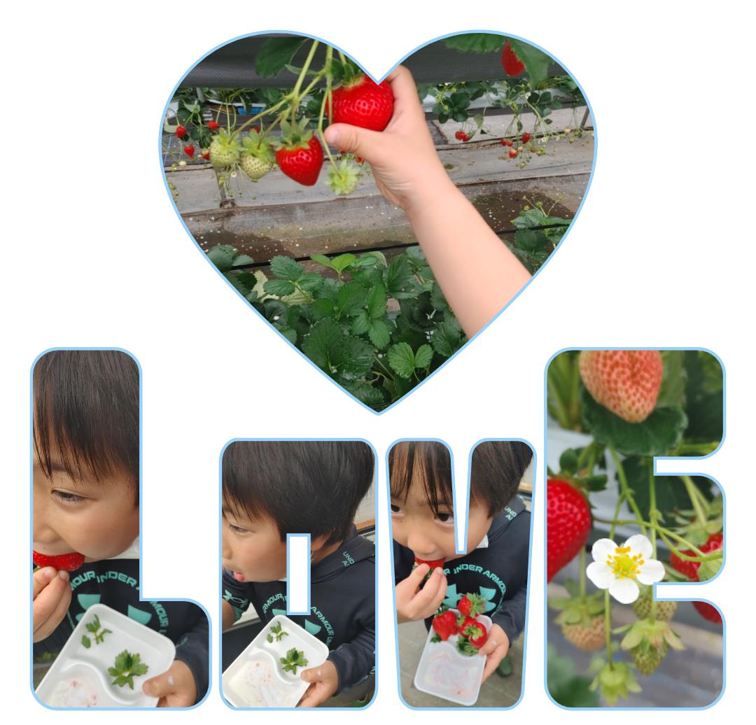 床ペロガチ勢様専用 人気総合 kikuchi-farm.com