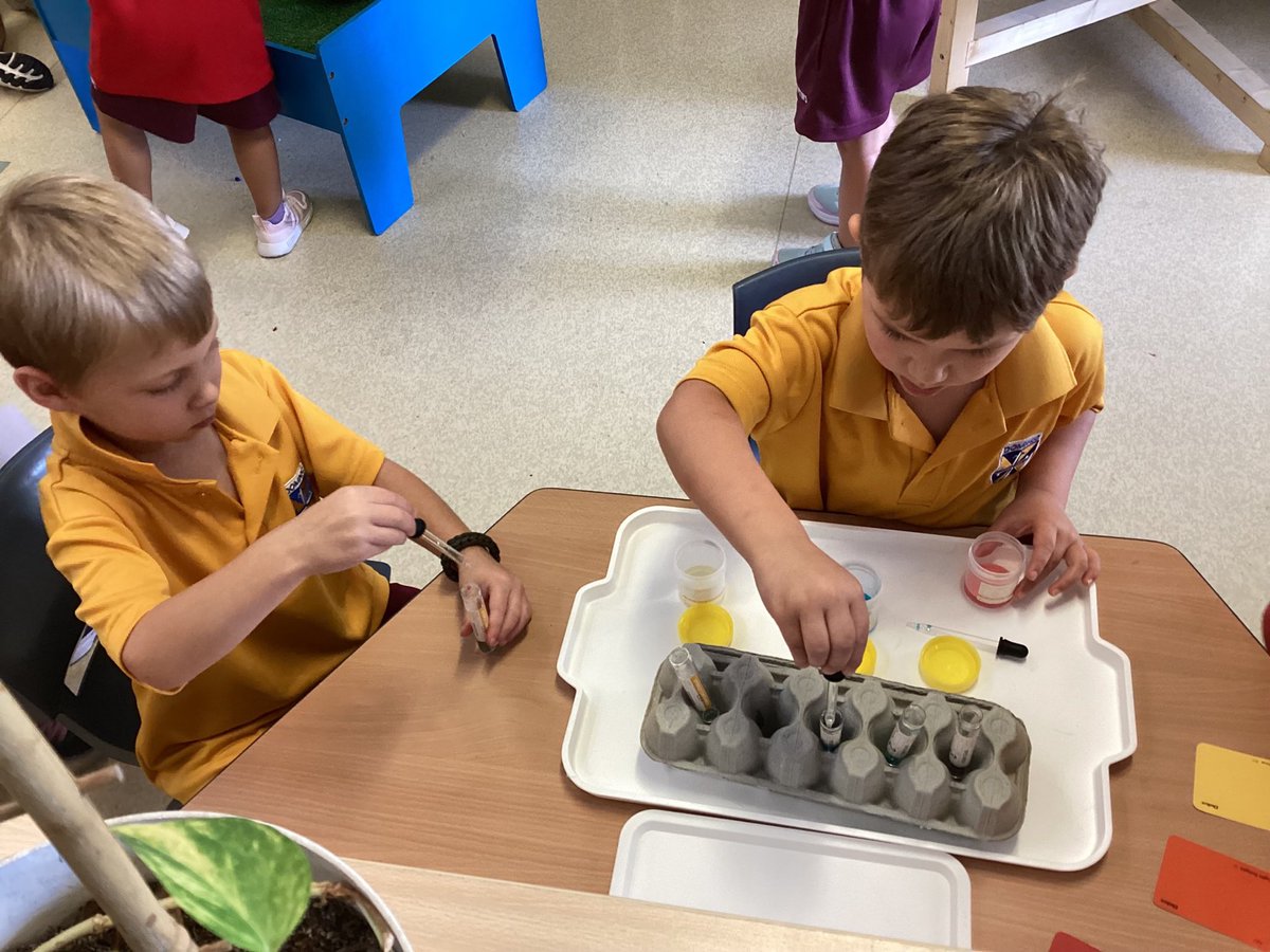 St_Peters_P_S's tweet photo. In Kindy, we have been curating the learning space for discovery and investigation. Look at these amazing provocations that have stimulated curiosity, wonder and strong connections to learning 💭✨🤩🥰 #TRUEinquiry @BiancaFlamini https://t.co/e7xR5tzZBz