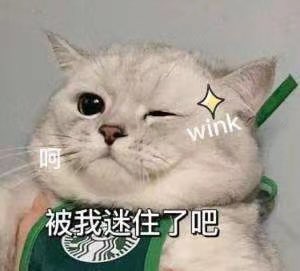 哥们听我一句劝，谈恋爱就要找白羊女，没什么特别的，因为我就是白羊座 https://t.co/KrfO4RXcuX
