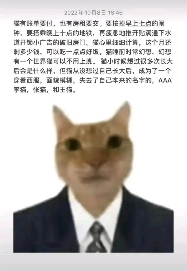 以前：早起很多拉完粑粑收拾好再去上班
现在：带薪拉屎就是爽，上午下午各一次，不管拉不拉得出先在马桶上坐十分钟再说 https://t.co/8iRjHQYh6S