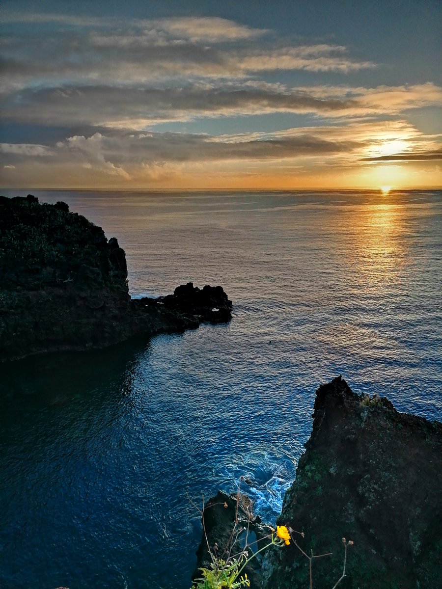 vitoriateam's tweet image. "... Se não puderes ser o Sol, sê uma estrela.
Não é pelo tamanho que terás êxito ou fracasso...
Mas sê o melhor no que quer que sejas." 
- Douglas Malloch 

uma ilha de poesia 
Madeira Islands 🇵🇹