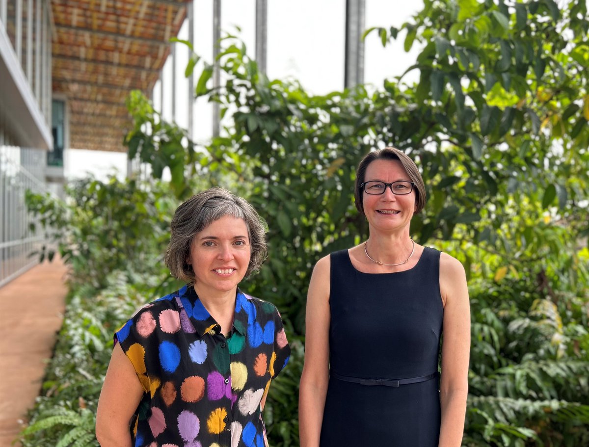 Menzies Research tweet media